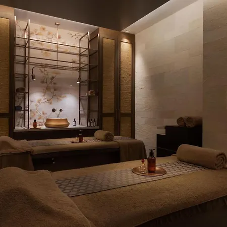 فندق Burdock Istanbul, Autograph Collection 4*
