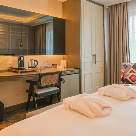 Burdock Istanbul, Autograph Collection 4* اسطنبول